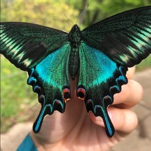 Meet your Posher, Paris